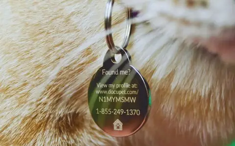 Free DocuPet Pet ID Tag with Free Shipping