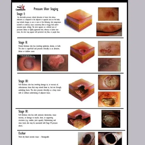Free Progressive Moving Box Labels