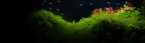 Fluval Aquarium Product Tester Program (Free Products)