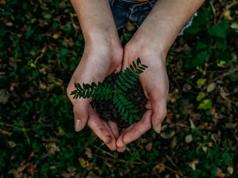 Free Eco-Friendly Product Samples from Social Nature