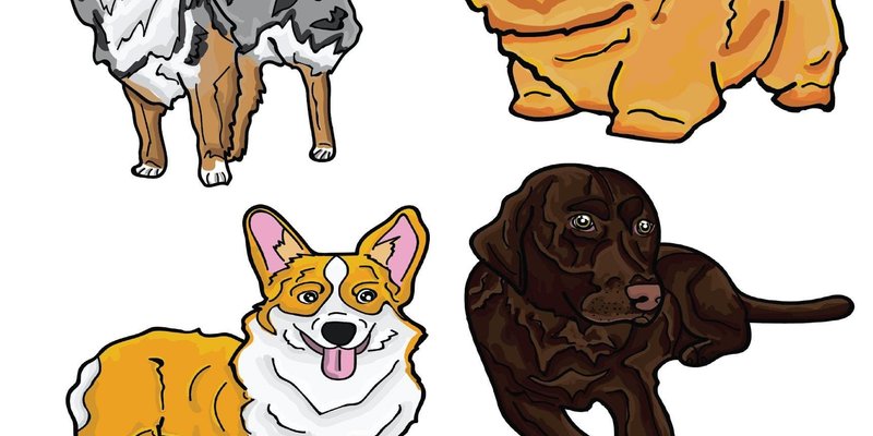 Get a Free Du Top Dog Sticker Sheet