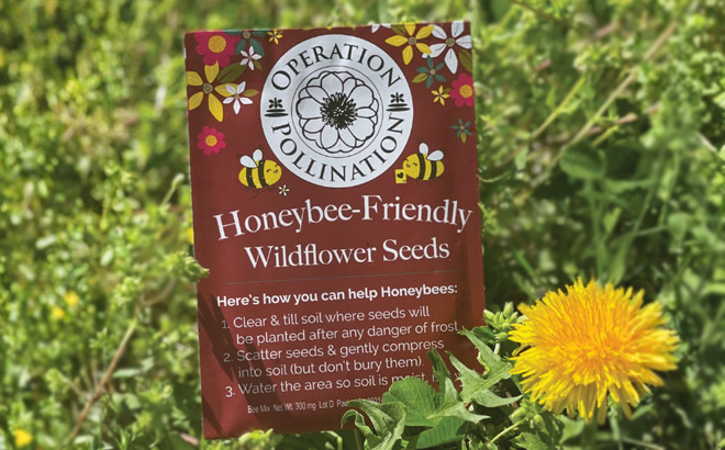 Free Wildflower Seed Packets from Operation Pollination